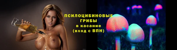 спиды Алзамай