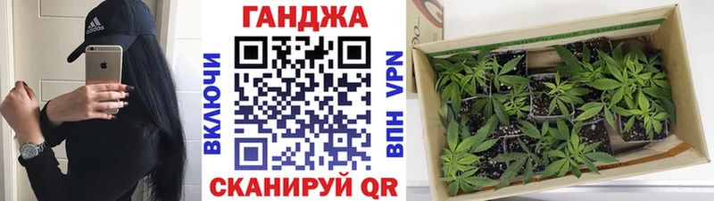 Бошки марихуана THC 21%  Новая Ляля 